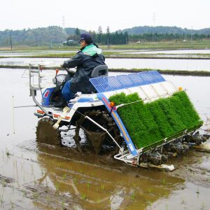 riding-type-rice-transplanter-01