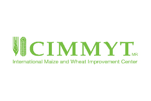 Cimmyt-partners