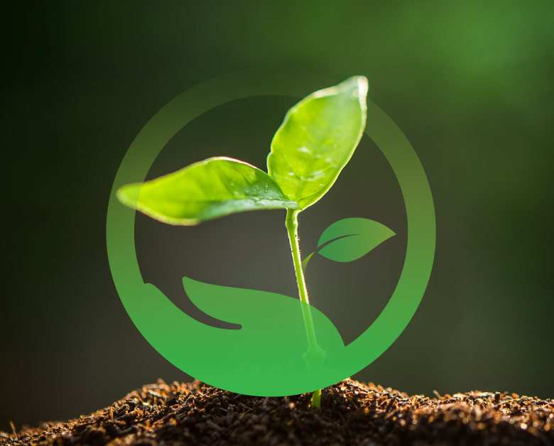 about us banner image